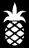 Picture of Pineapple - Sparkle Stencil (1pc)