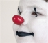 Picture of ProKNOWS Professional Clown Nose -  Large Red Gloss Tip (LT-1)