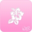 Picture of Pink Power Face Painting Stencil (1024) - Hibiscus