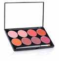 Picture of Mehron L.I.P. Cream Palette 8 Colours -DAY (48g)