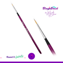 Picture of Blazin Brush by Marcela Bustamante - Round 0 (R0)