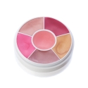 Picture of Ben Nye Lip Gloss Wheel (LGW)