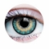 Picture of Primal Sunrise Turquoise (Green Colored Contact Lenses) 511