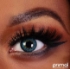 Picture of Primal Sunrise Turquoise (Green Colored Contact Lenses) 511